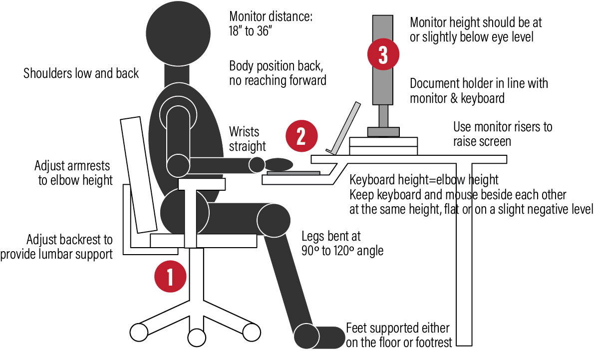 Ergonomic Office Setup